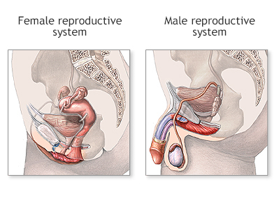premature-ejaculation-treatment-in-noida