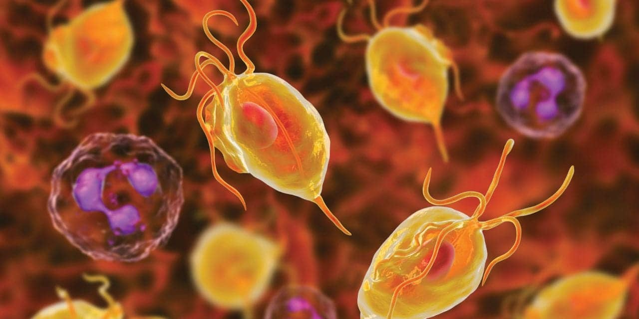 premature-ejaculation-treatment-in-noida